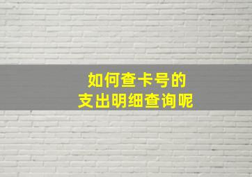 如何查卡号的支出明细查询呢