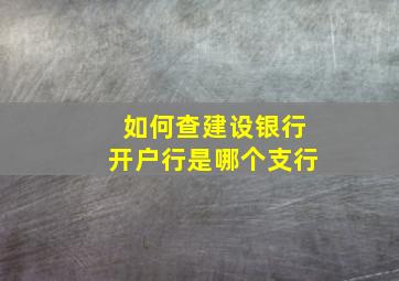 如何查建设银行开户行是哪个支行