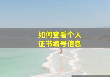 如何查看个人证书编号信息