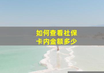 如何查看社保卡内金额多少