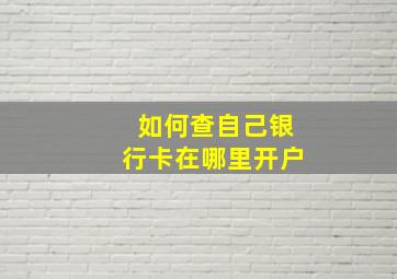 如何查自己银行卡在哪里开户