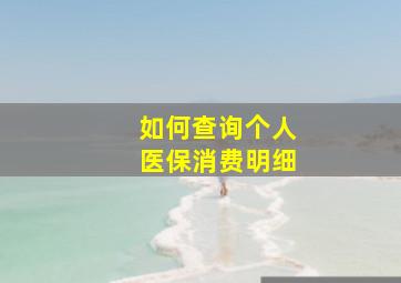 如何查询个人医保消费明细