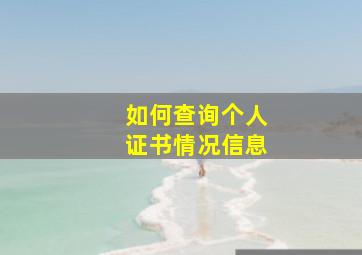 如何查询个人证书情况信息