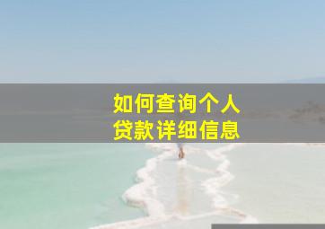 如何查询个人贷款详细信息