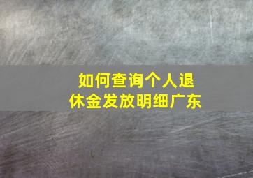 如何查询个人退休金发放明细广东