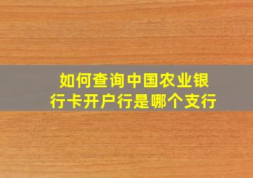 如何查询中国农业银行卡开户行是哪个支行