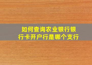 如何查询农业银行银行卡开户行是哪个支行