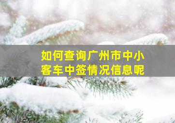 如何查询广州市中小客车中签情况信息呢