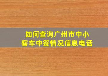 如何查询广州市中小客车中签情况信息电话