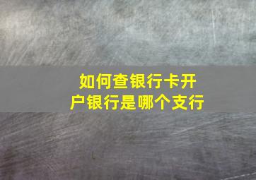 如何查银行卡开户银行是哪个支行