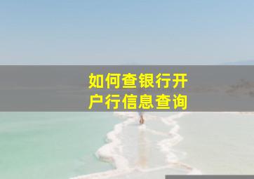 如何查银行开户行信息查询