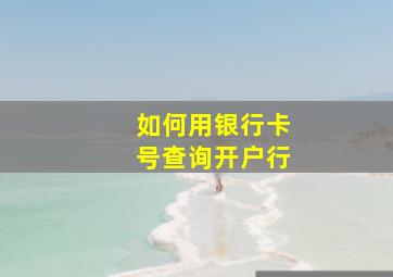 如何用银行卡号查询开户行