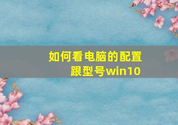 如何看电脑的配置跟型号win10