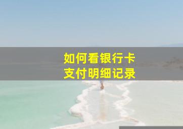 如何看银行卡支付明细记录