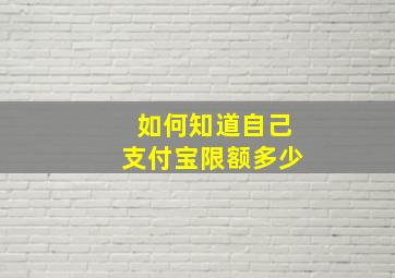 如何知道自己支付宝限额多少