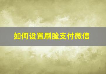 如何设置刷脸支付微信