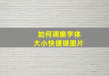 如何调换字体大小快捷键图片