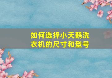 如何选择小天鹅洗衣机的尺寸和型号