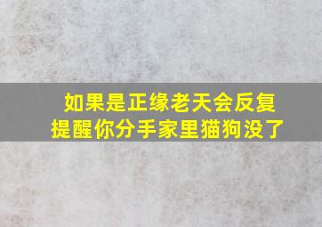 如果是正缘老天会反复提醒你分手家里猫狗没了