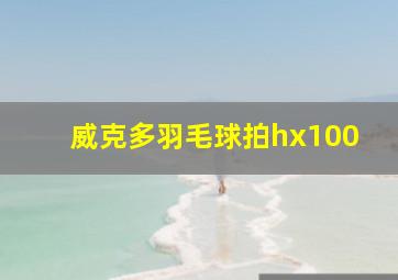 威克多羽毛球拍hx100