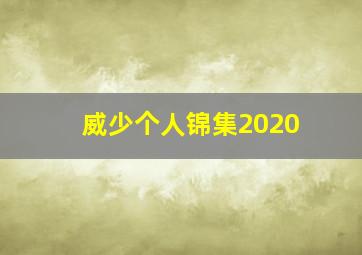 威少个人锦集2020