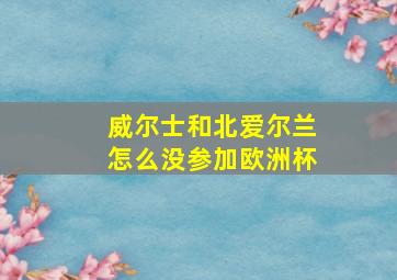 威尔士和北爱尔兰怎么没参加欧洲杯