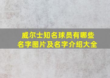 威尔士知名球员有哪些名字图片及名字介绍大全