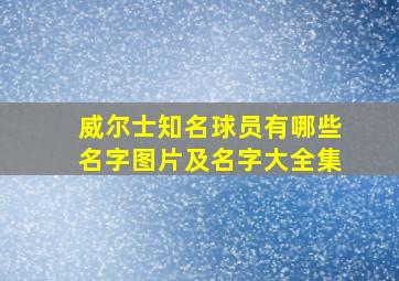 威尔士知名球员有哪些名字图片及名字大全集