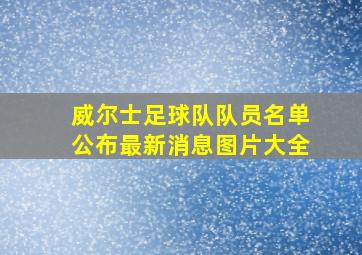 威尔士足球队队员名单公布最新消息图片大全