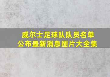 威尔士足球队队员名单公布最新消息图片大全集