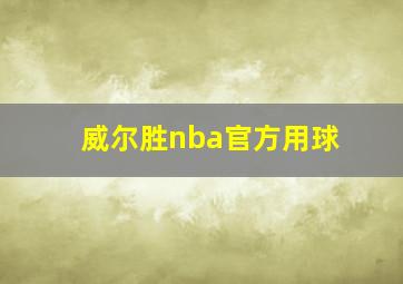 威尔胜nba官方用球