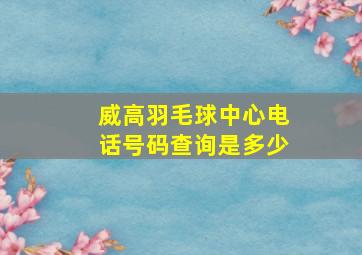 威高羽毛球中心电话号码查询是多少