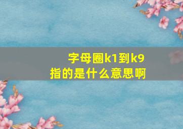 字母圈k1到k9指的是什么意思啊