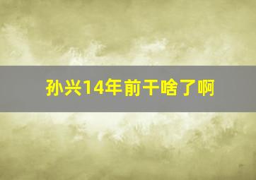 孙兴14年前干啥了啊