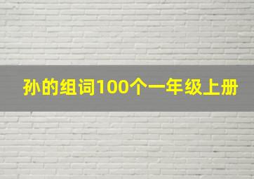 孙的组词100个一年级上册