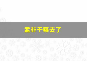 孟非干嘛去了