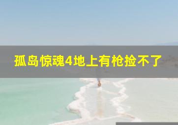 孤岛惊魂4地上有枪捡不了