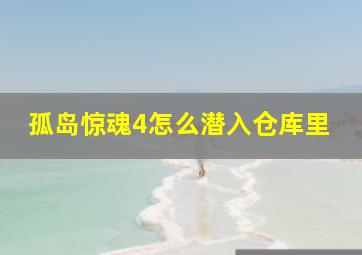 孤岛惊魂4怎么潜入仓库里