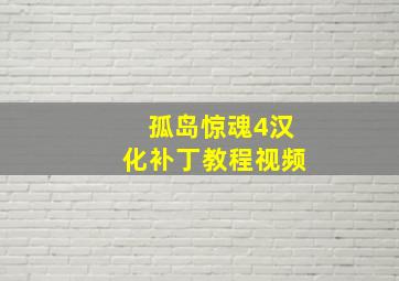 孤岛惊魂4汉化补丁教程视频