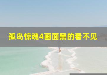 孤岛惊魂4画面黑的看不见