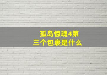 孤岛惊魂4第三个包裹是什么