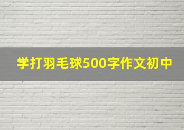 学打羽毛球500字作文初中