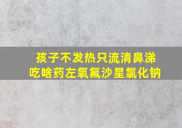 孩子不发热只流清鼻涕吃啥药左氧氟沙星氯化钠