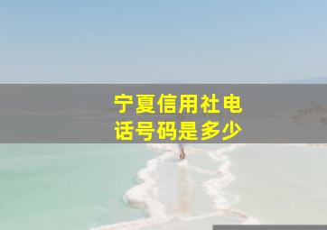 宁夏信用社电话号码是多少