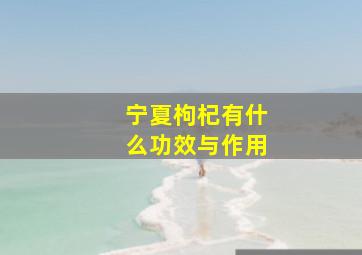 宁夏枸杞有什么功效与作用