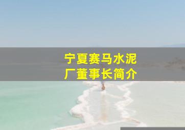 宁夏赛马水泥厂董事长简介