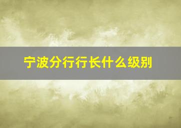 宁波分行行长什么级别