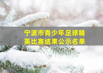 宁波市青少年足球精英比赛结果公示名单