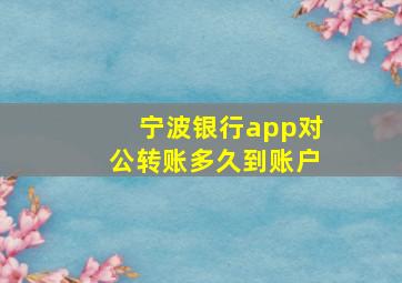 宁波银行app对公转账多久到账户