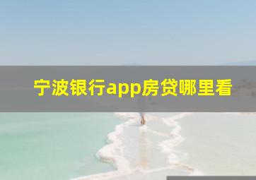 宁波银行app房贷哪里看